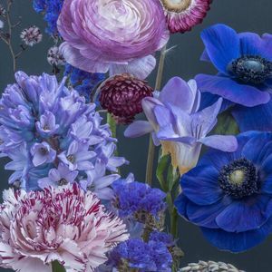 Meet your Posher, Maryjo